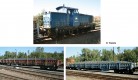 01619 Tillig Freight train set "Pressnitztalbahn" (limited edition)